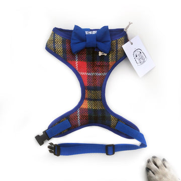 Sir Finlay - Hand-made, Scottish tweed harness with blue bow-tie, pocket and bone button – XS, S, M, L & Custom