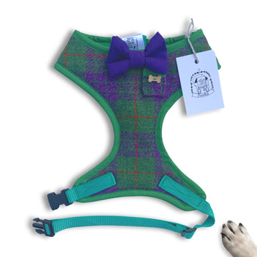 LIMITED STOCK - Sir Arthur - Hand-made, green & purple tweed harness with purple bow-tie, pocket and bone button – XS, S, M, L & Custom