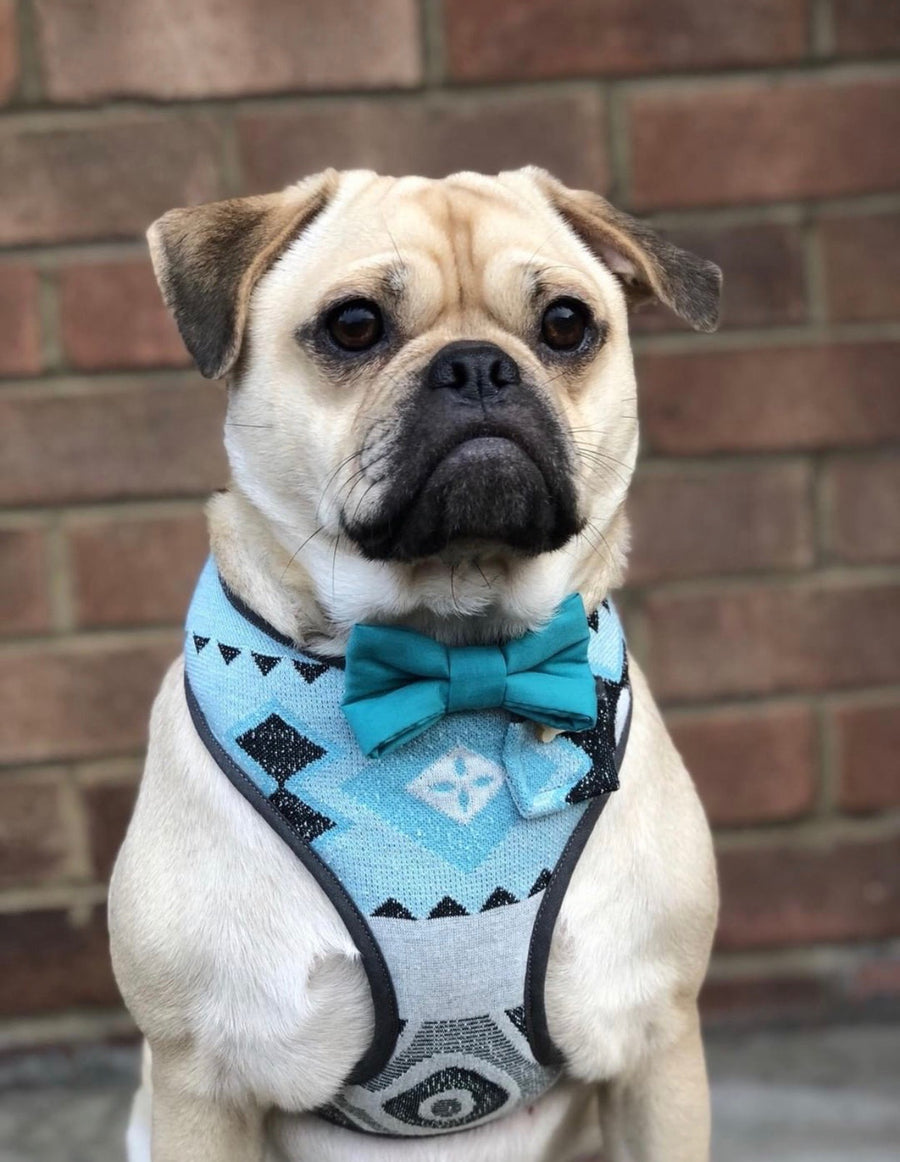 Sir Zilon - Hand-made, aztec print harness with blue green bow-tie, pocket and bone button – XS, S, M, L & Custom