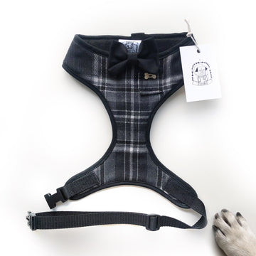 Sir Rupert (front) - Hand-made, authentic British suiting fabric harness with black bow-tie, pocket and bone button – XS, S, M, L & Custom