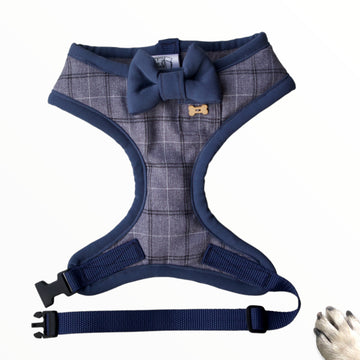 Sir Archibald- Hand-made, Finest Italian suiting harness with luxury blue bow-tie, pocket and bone button – XS, S, M, L & Custom