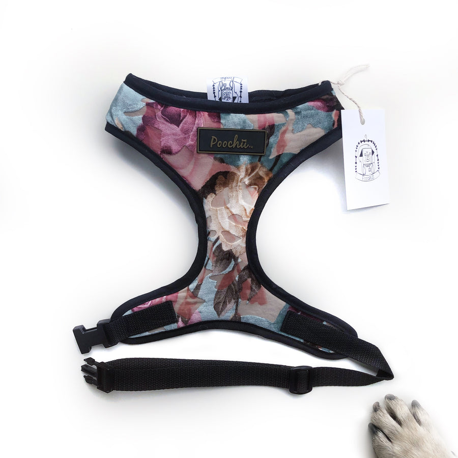 Lady Cleo - Hand-made, luxury crushed velvet harness with our Poochu signature logo tag & black bow on back  – XS, S, M, L, XL & Custom