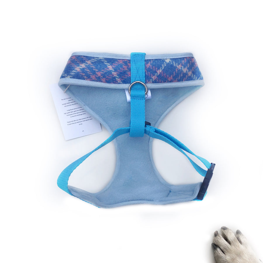 Sir Glenn - Hand-made, Scottish tweed harness with baby blue bow-tie, pocket and bone button – XS, S, M, L & Custom
