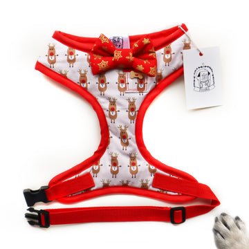 Red Rudolf - Hand-made, Rudolf print christmas fabric with red and gold bow-tie, pocket and bone button – XS, S, M, L, XL & Custom