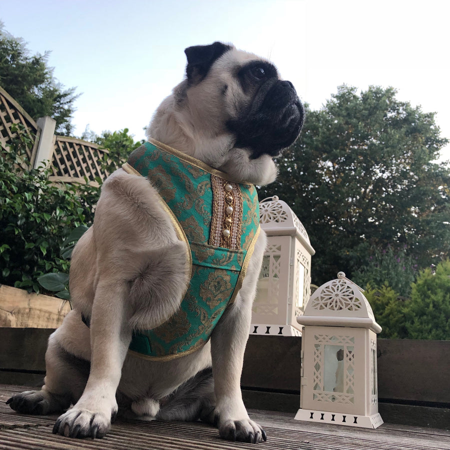 Indian Summer - Green Bollywood style harness with luxury Indian fabric - XS, S, M, L, XL & Custom