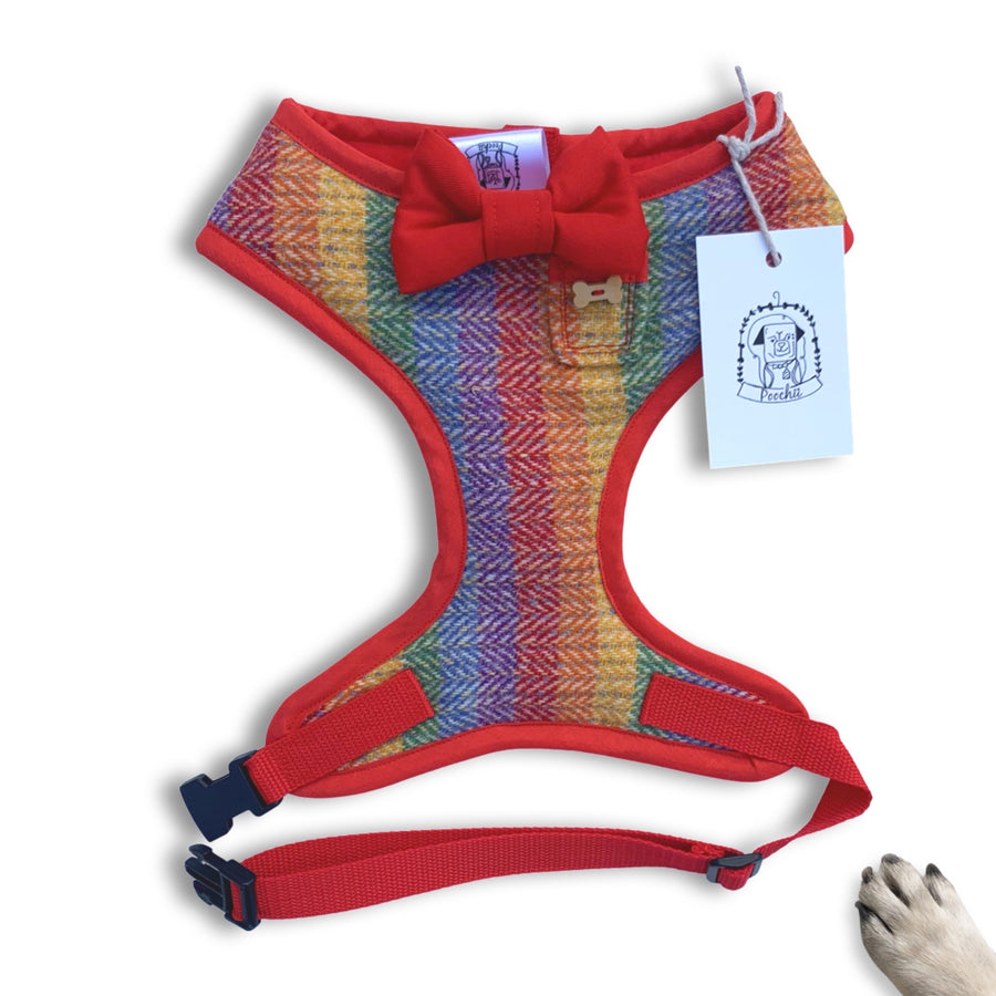 LIMITED STOCK - Sir Arlo - Hand-made, rainbow tweed harness with red bow-tie, pocket and bone button – XS, S, M, L & Custom