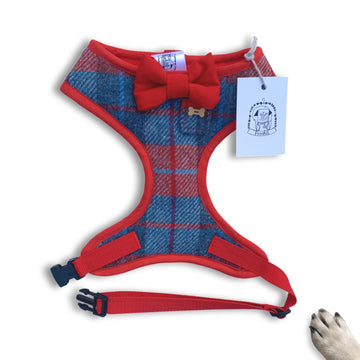 LIMITED STOCK - Sir Oscar - Hand-made, red & blue tweed harness with red bow-tie, pocket and bone button – XS, S, M, L & Custom