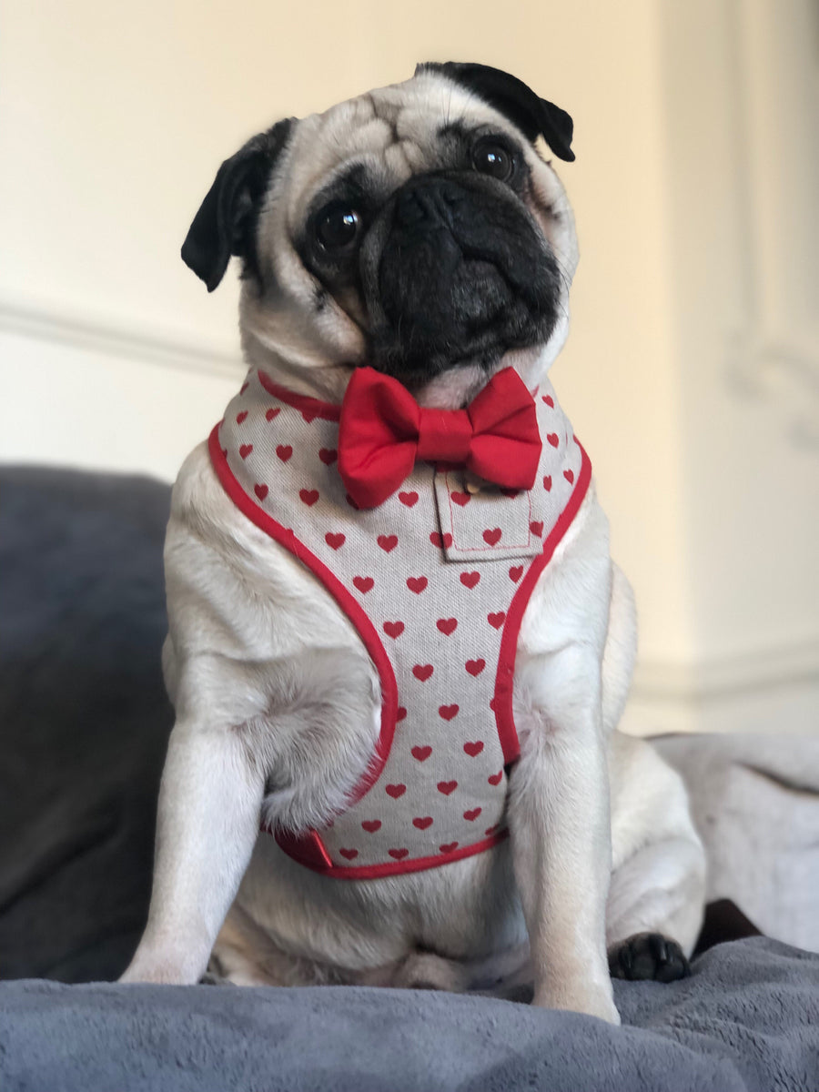 Love Hearts - Hand-made, red heart harness with red bow-tie, pocket and bone button – XS, S, M, L, XL & Custom