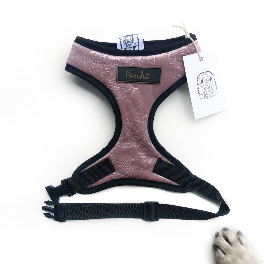 Lady Emily - Hand-made, luxury crushed velvet harness with our Poochu signature logo tag & black bow on back  – XS, S, M, L, XL & Custom