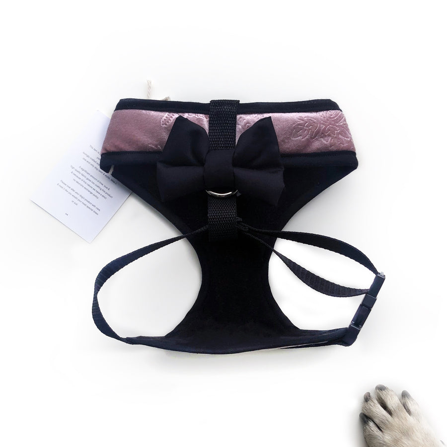 Lady Emily - Hand-made, luxury crushed velvet harness with our Poochu signature logo tag & black bow on back  – XS, S, M, L, XL & Custom