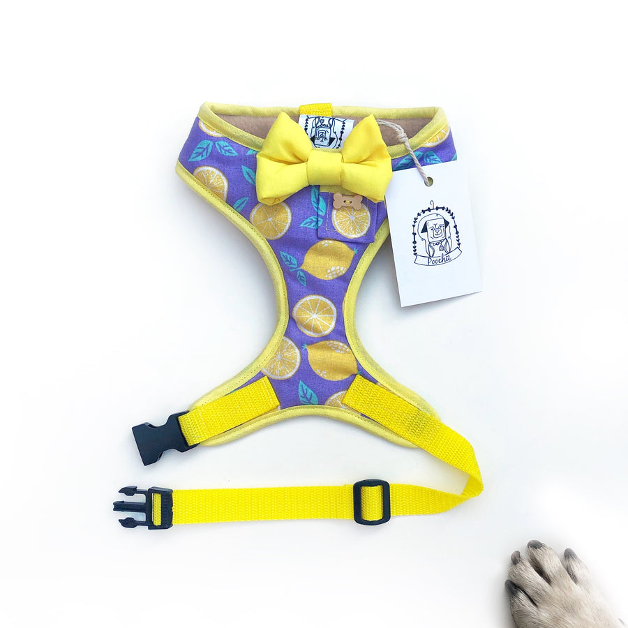 Lemon Love - Hand-made, lemon print harness with yellow bow-tie, pocket and bone button