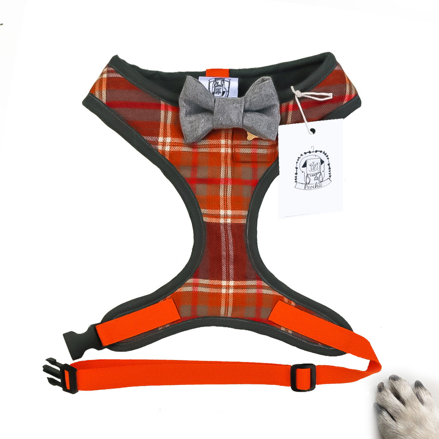 Sir Bruce - Hand-made, orange tartan harness with grey wool bow-tie, pocket & bone button – XS, S, M, L, XL & Custom