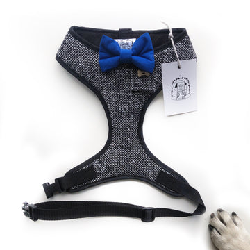 Sir Bilbo - Hand-made, Irish tweed harness with royal blue bow-tie, pocket and bone button – XS, S, M, L, XL & Custom