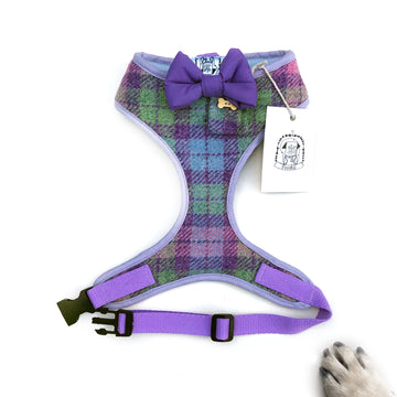 Sir Harry - Hand-made, Scottish tweed harness with purple bow-tie, pocket and bone button – XS, S, M, L & Custom