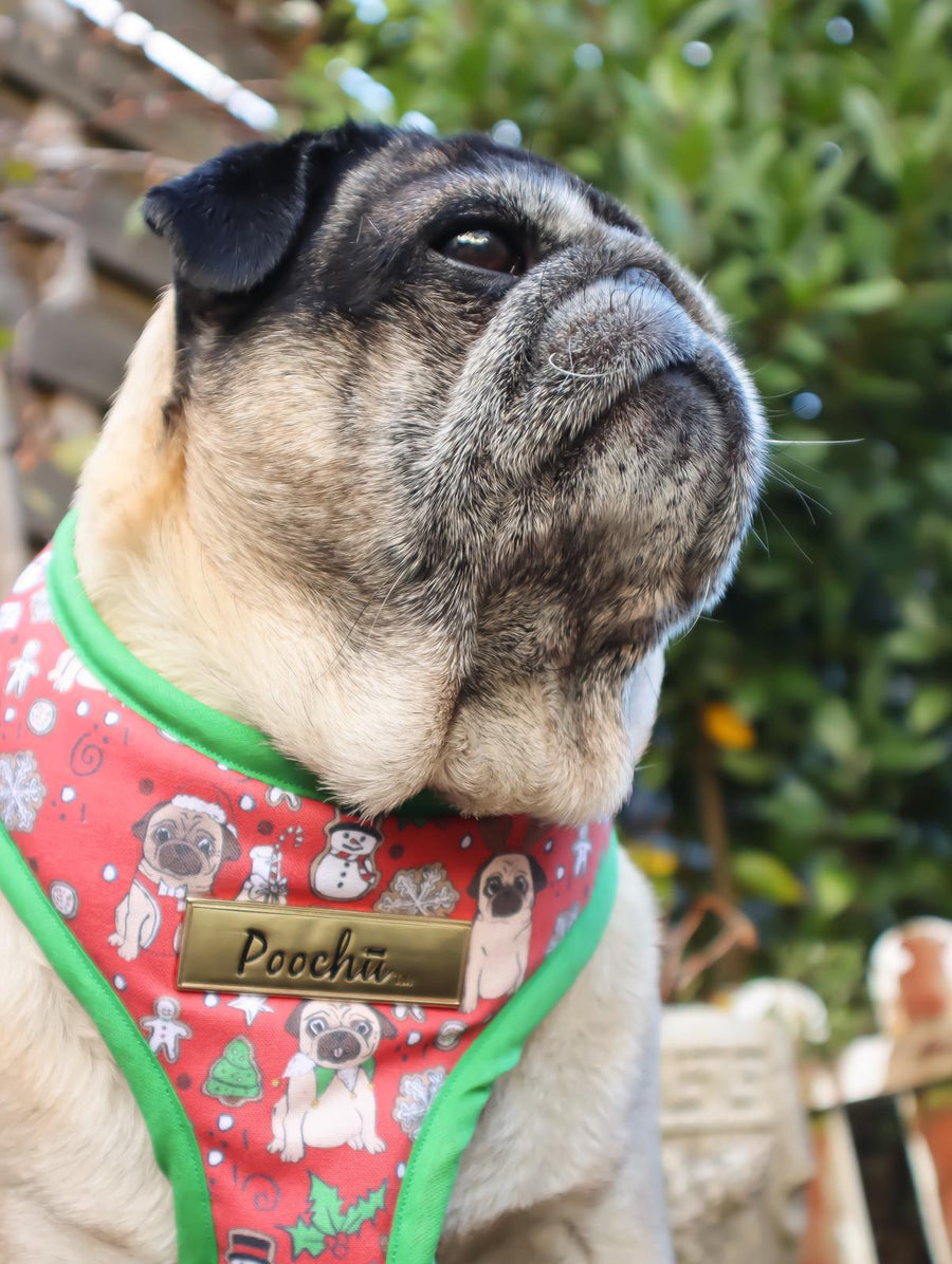 Santa Pug is Coming to Town - Hand-made, authentic custom illustrated pug christmas harness with gold label tag  – XS, S, M, L, XL & Custom