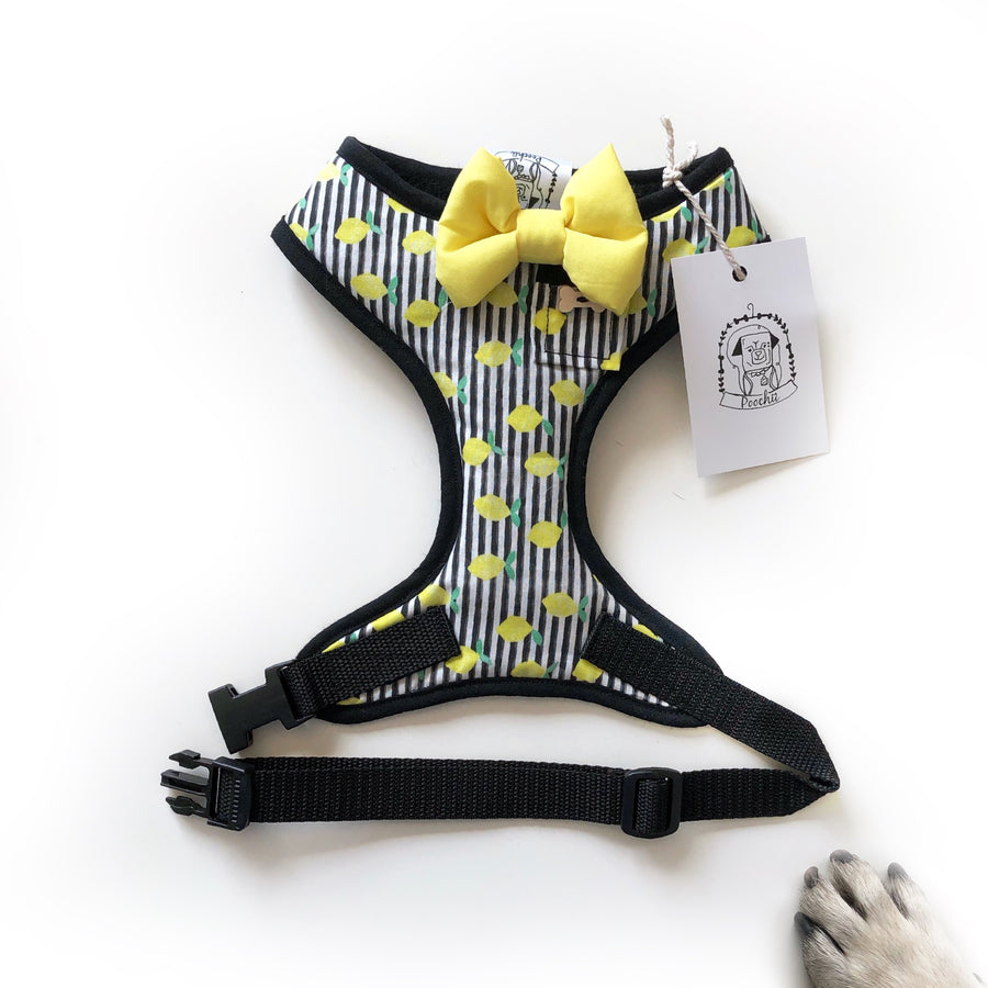 Limoncello Love - Hand-made, lemon print harness with yellow bow-tie, pocket and bone button