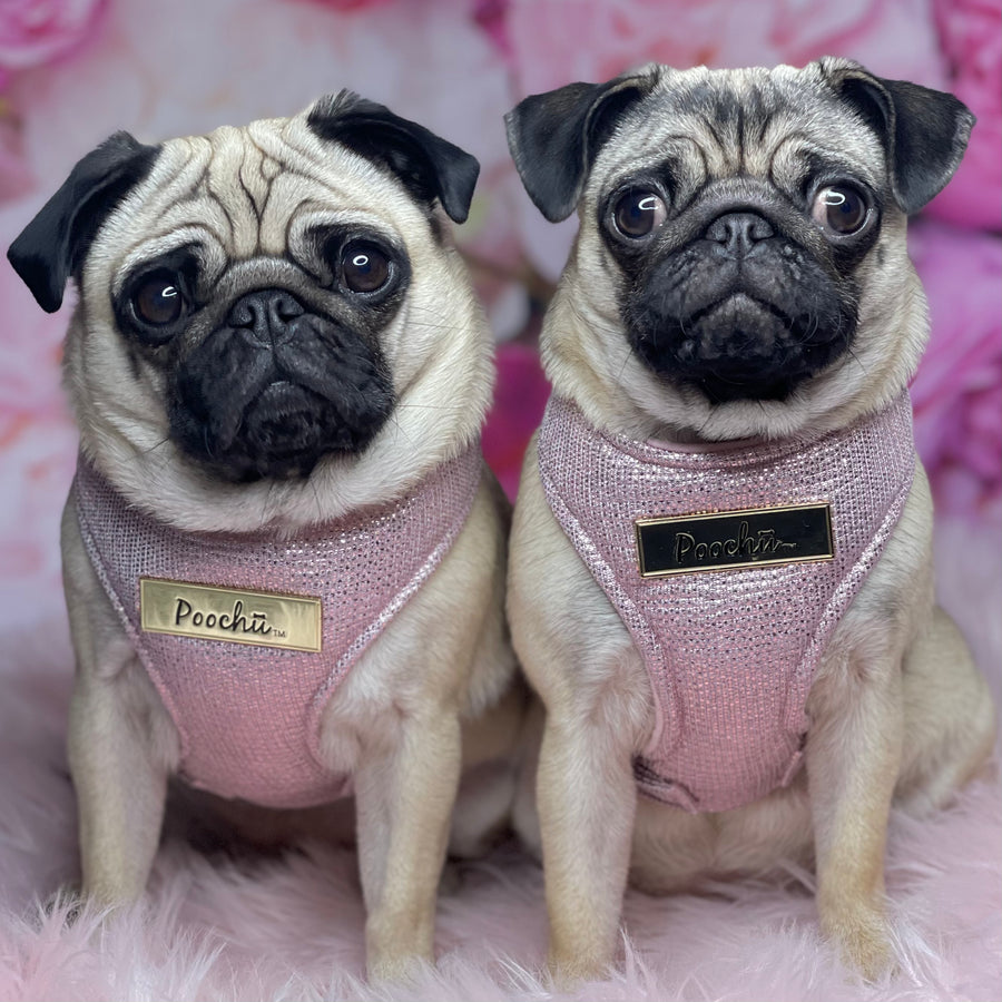 Lady Layla - Hand-made, luxury crushed pink sparkle harness with our gold Poochu signature logo tag & bow on back  – XS, S, M, L, XL & Custom