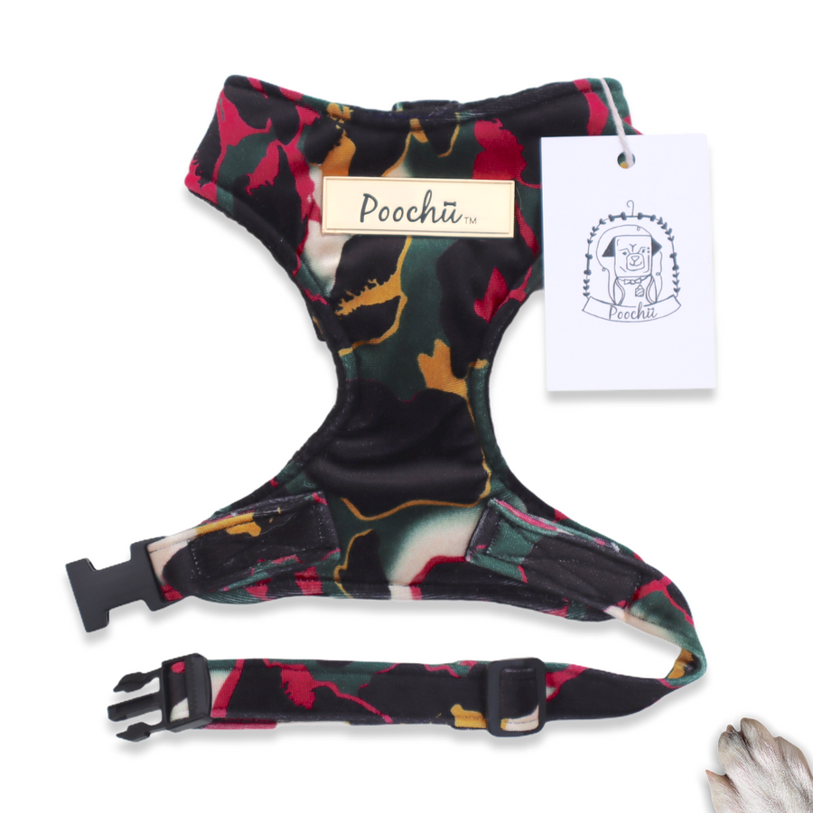 Lady Zoe - Hand-made, luxury crushed velvet harness with our gold Poochu signature logo tag & bow on back  – XS, S, M, L, XL & Custom
