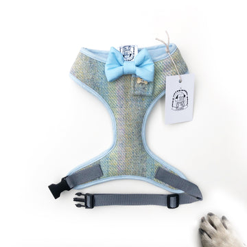 Sir Magnus - Hand-made, Scottish tweed harness with baby bow-tie, pocket and bone button – XS, S, M, L & Custom