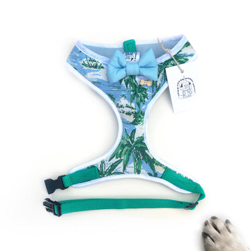 Sir Kensington - Hand-made, tropical shirting fabric harness with blue bow-tie, pocket and bone button – XS, S, M, L & Custom