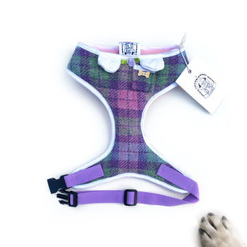 Lady Meghan - Hand-made, Scottish tweed harness with pixie collar, pocket and bone button – XS, S, M, L & Custom