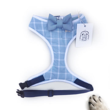 Sir Bobby - Hand-made, shirting fabric harness with blue bow-tie, pocket and bone button – XS, S, M, L & Custom